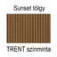 TRENTSST-MINT - TRENTSST-MINT.jpg