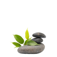 wellness-spa