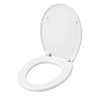 hagyomanyos-wc-uloke