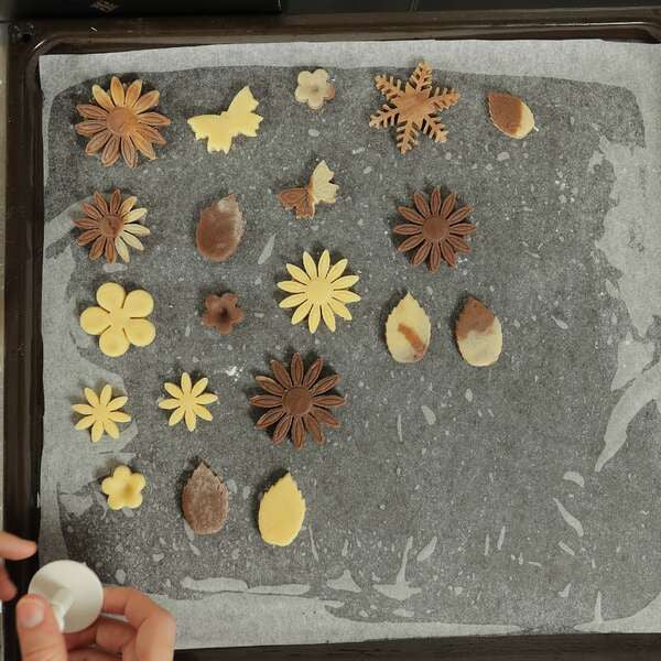 CookiePro 47 darabos süteményforma vágó készlet