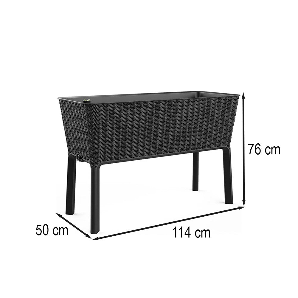 255152 - 255152_altpic_2.jpg