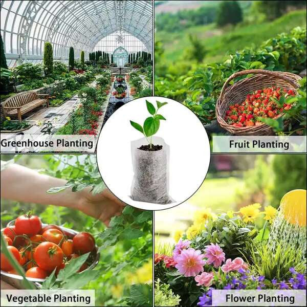 Lookgrow tasakok palántáknak