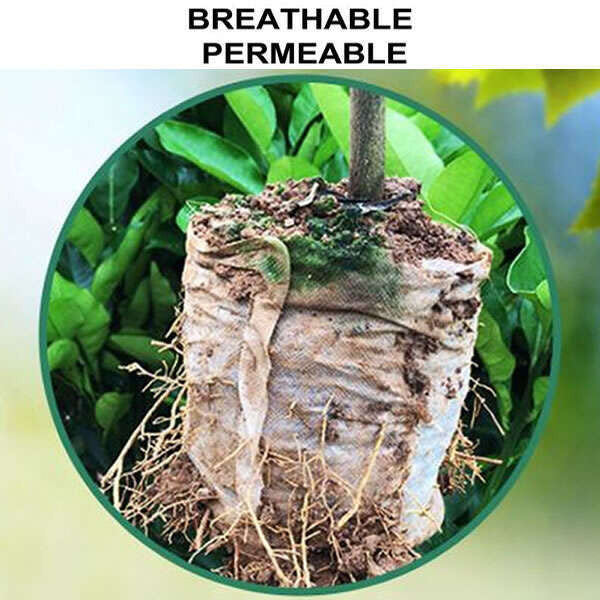 Lookgrow tasakok palántáknak