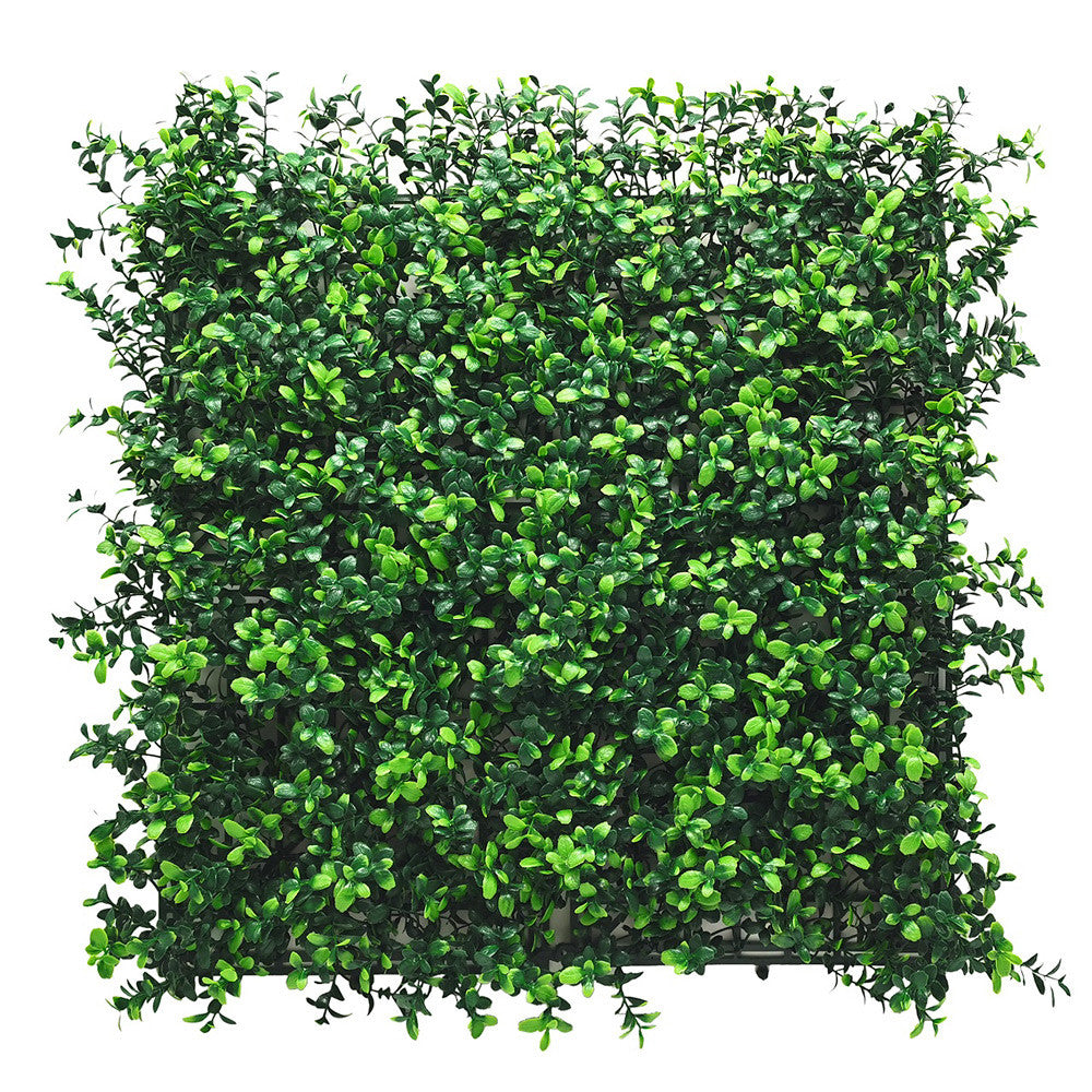 Puszpáng műanyag zöldfal 50x50 cm Fő kép