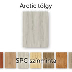 ARC-MINT - ARC-MINT.jpg