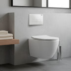 Delano fali rimless WC soft-close ülőkével