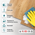 LPSPC-4-5-GIT_altpic_5_ro.png