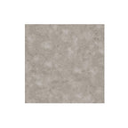 LPSPC-4-5-REN - LPSPC-4-5-REN.jpg