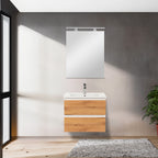 Vario003 - Vario003_altpic_1.jpg