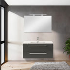 Vario107 - Vario107_altpic_1.jpg