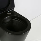 WT-1B - WT-1B_altpic_5.jpg