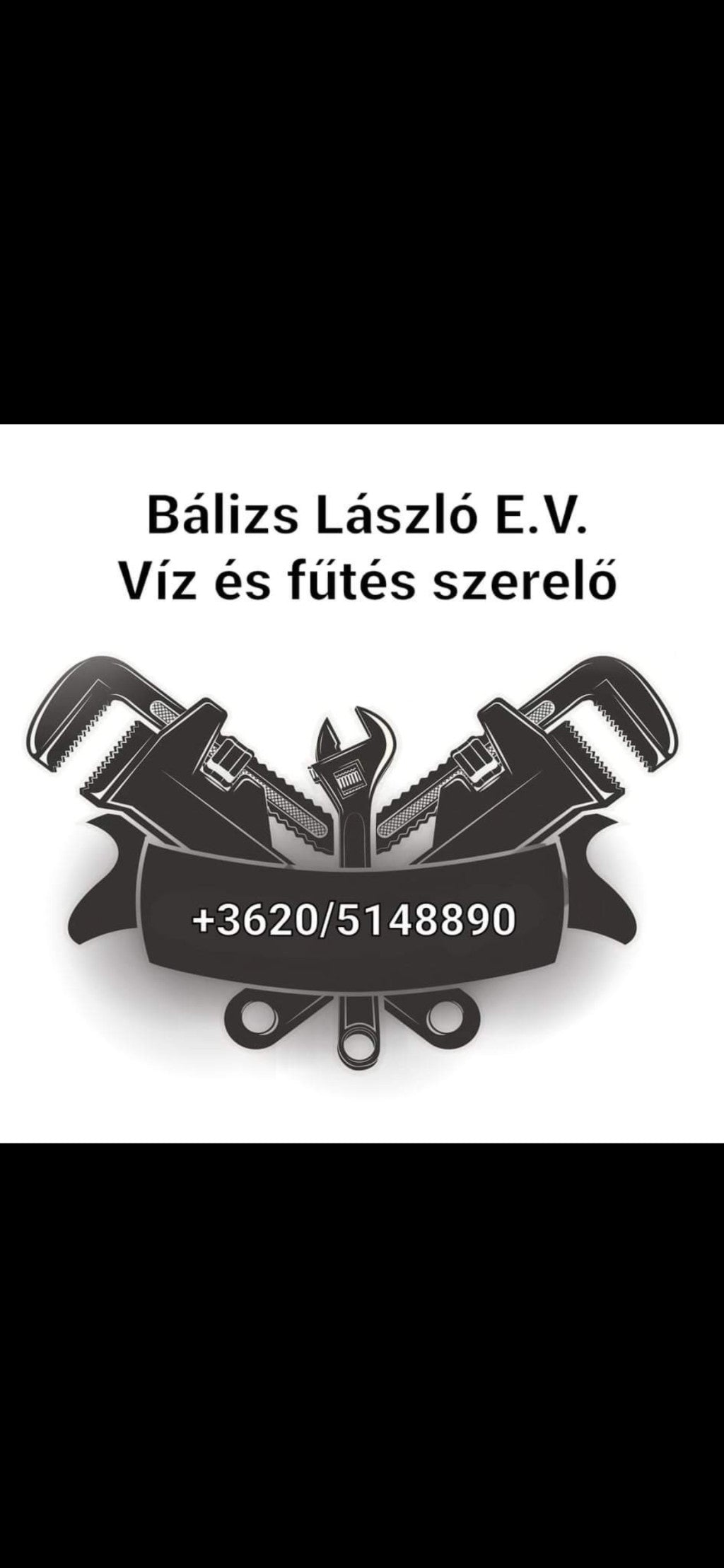 balizs-laszlo - balizs-laszlo.jpg Imagine principală a produsului