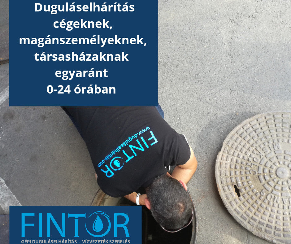 fintor-zsolt - fintor-zsolt_altpic_1.jpg