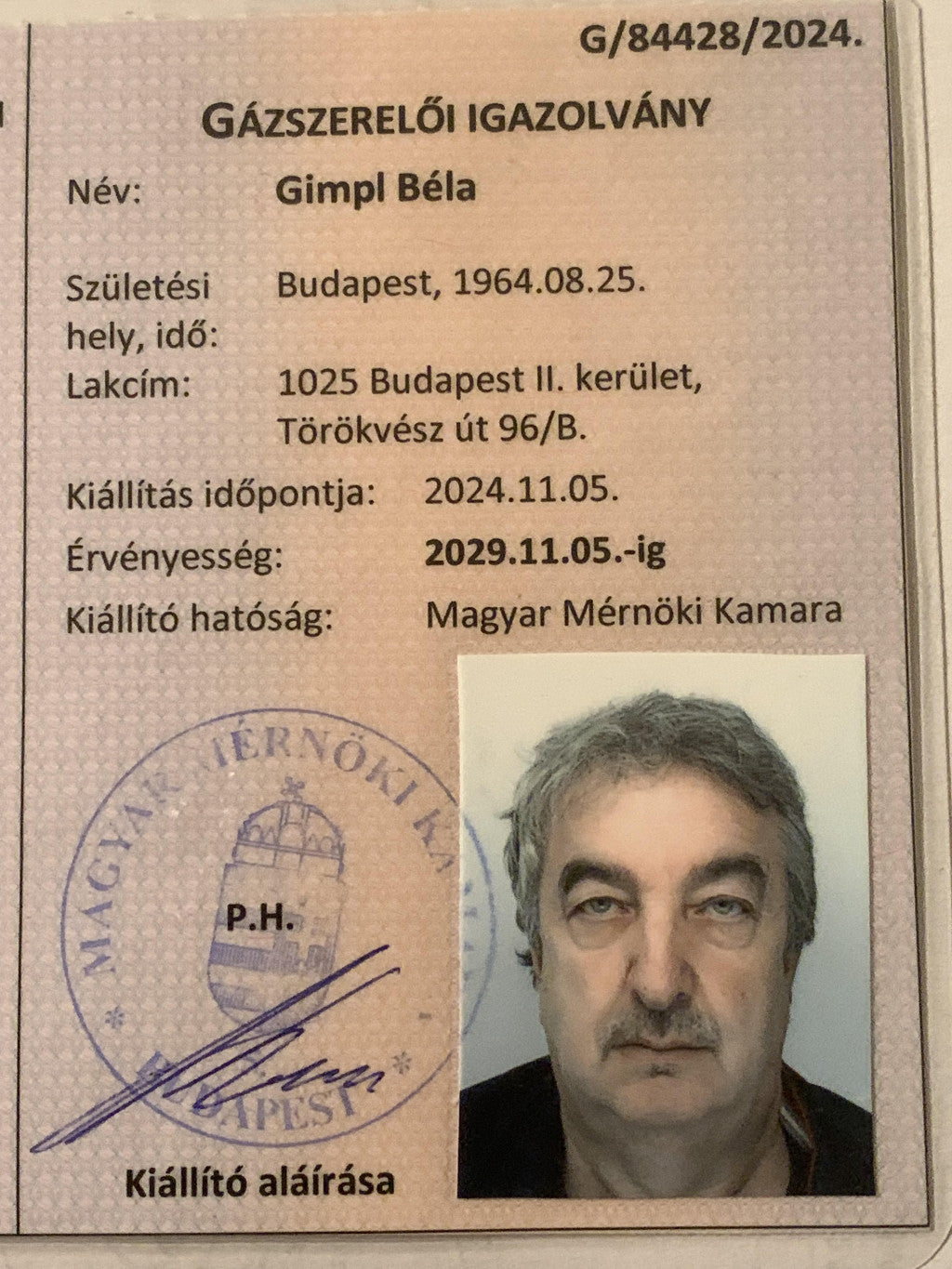 gimpl-bela - gimpl-bela_altpic_1.jpg