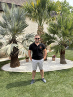 nagy-gaborev - nagy-gaborev.jpg