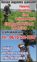 nemeth-szabolcs - nemeth-szabolcs.jpg