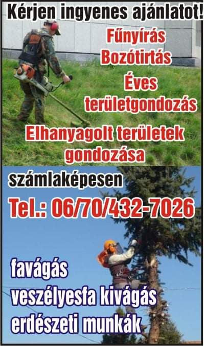 nemeth-szabolcs - nemeth-szabolcs.jpg
