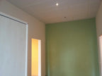pahi-ev - pahi-ev_altpic_4.jpg