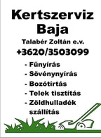 talaber-zoltan - talaber-zoltan.jpg