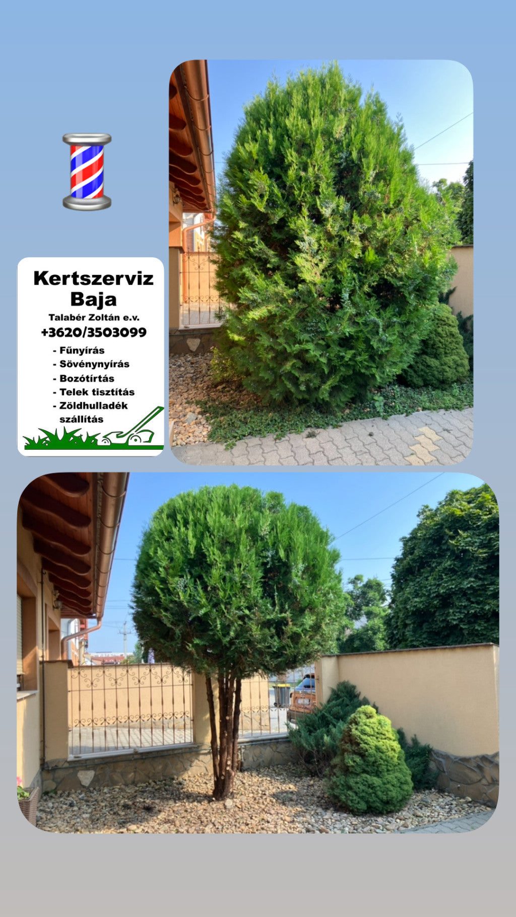 talaber-zoltan - talaber-zoltan_altpic_1.jpg